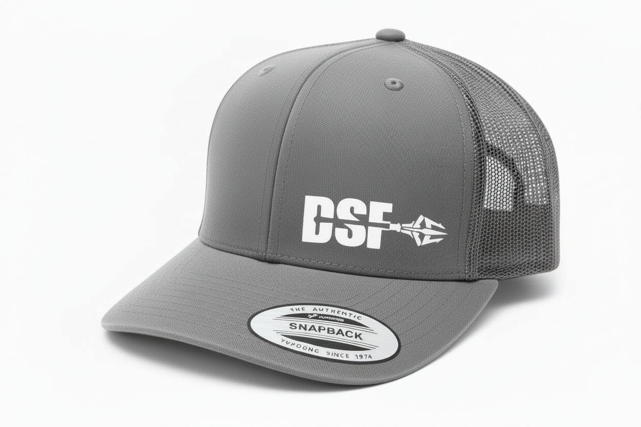 DSF Modern Trucker