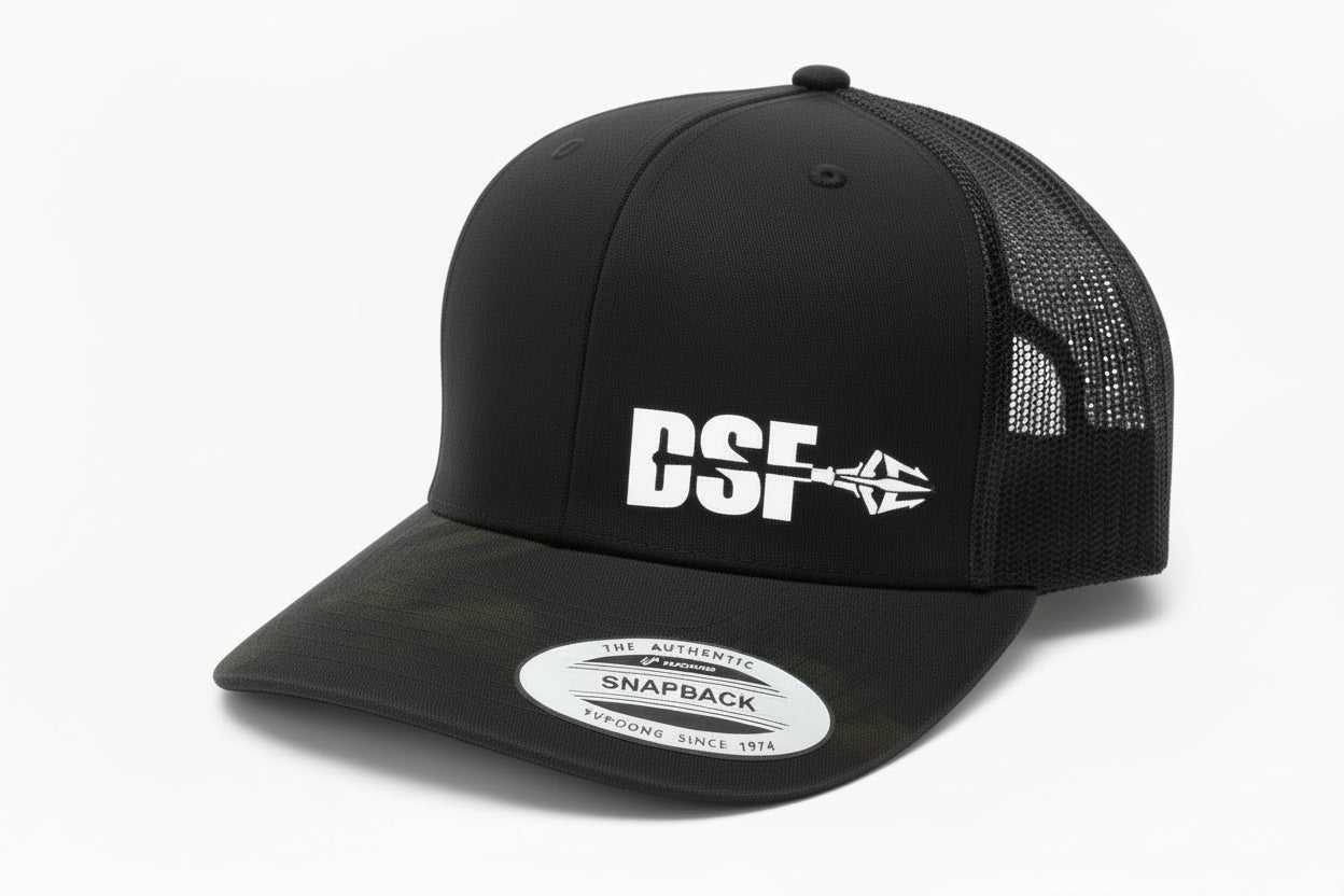 DSF Modern Trucker